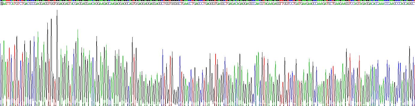 Gene Sequencing (extract)