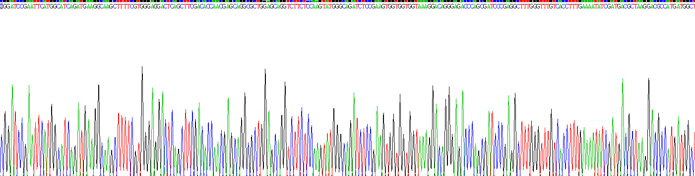 Gene Sequencing (extract)