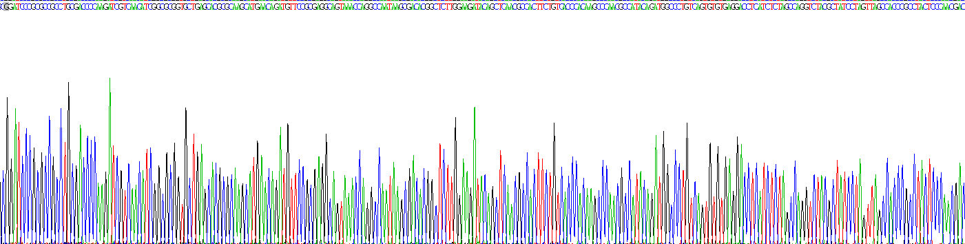 Gene Sequencing (extract)