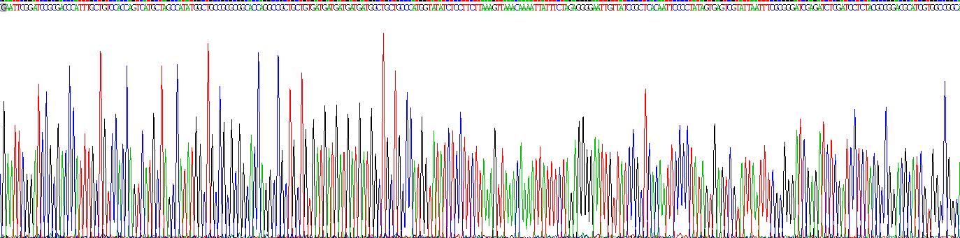 Gene Sequencing (extract)