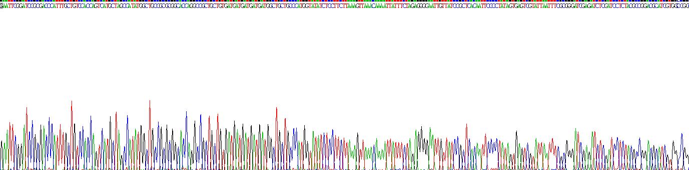 Gene Sequencing (extract)