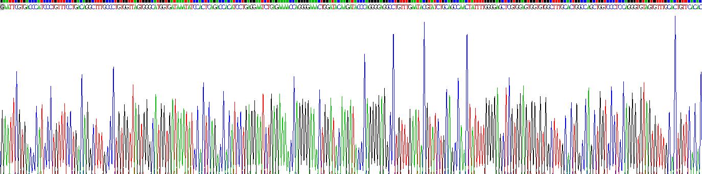 Gene Sequencing (extract)