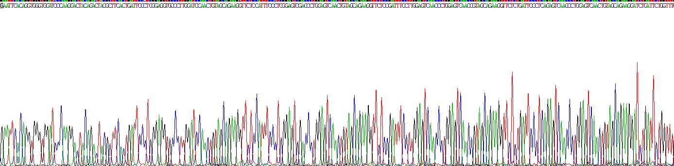 Gene Sequencing (extract)