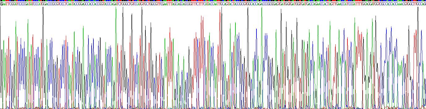 Gene Sequencing (extract)