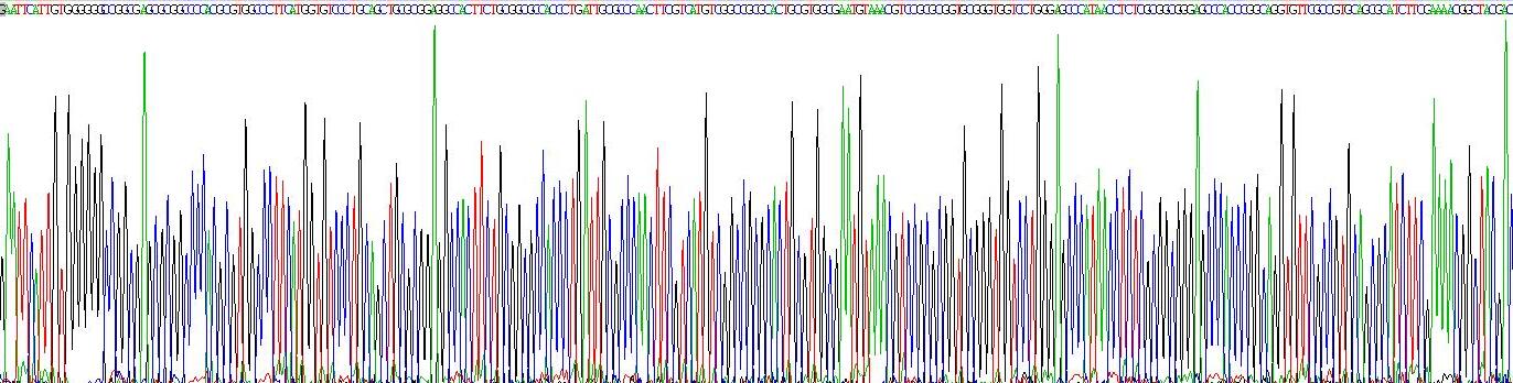 Gene Sequencing (extract)