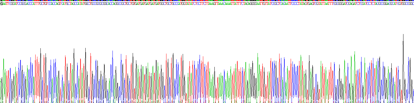 Gene Sequencing (extract)