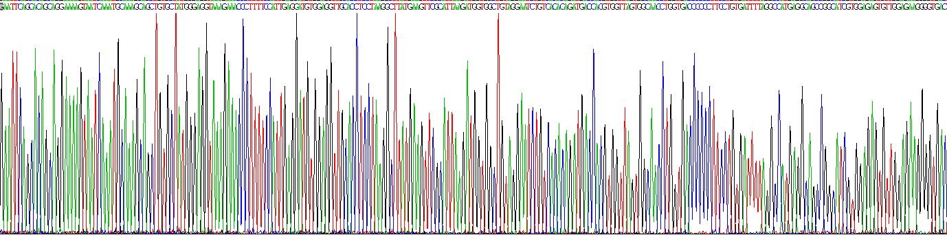 Gene Sequencing (extract)