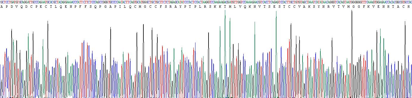 Gene Sequencing (extract)