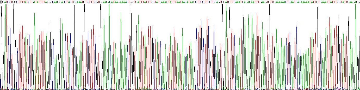Gene Sequencing (extract)
