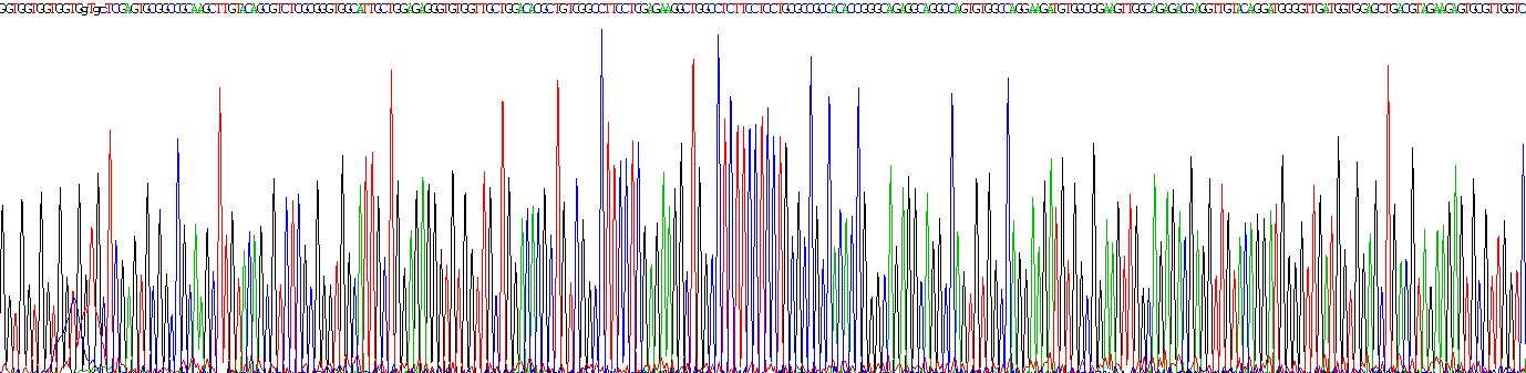 Gene Sequencing (extract)