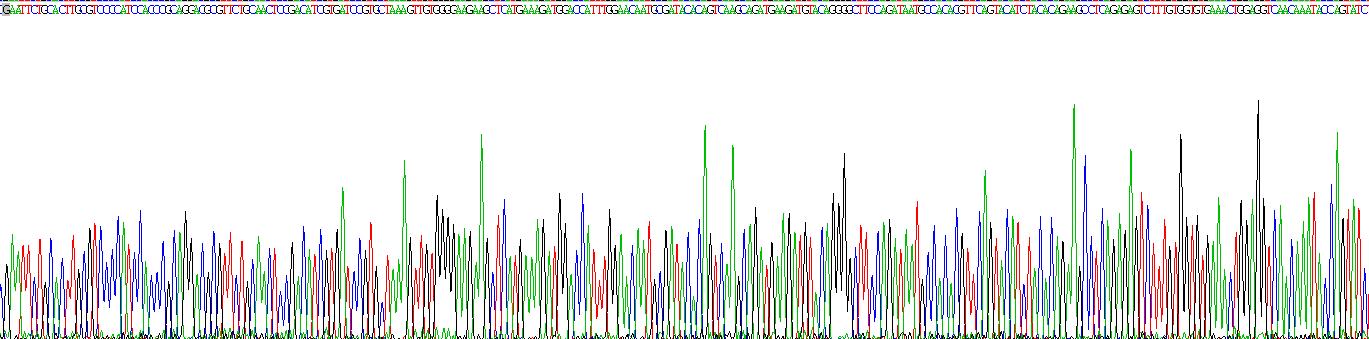 Gene Sequencing (extract)