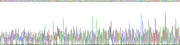 Gene Sequencing (extract)