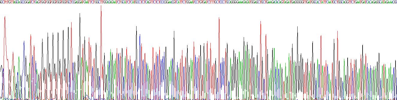 Gene Sequencing (extract)