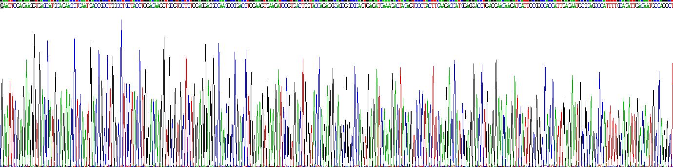 Gene Sequencing (extract)