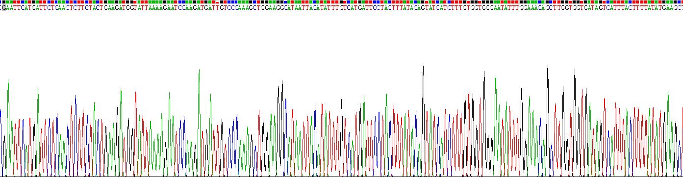 Gene Sequencing (extract)
