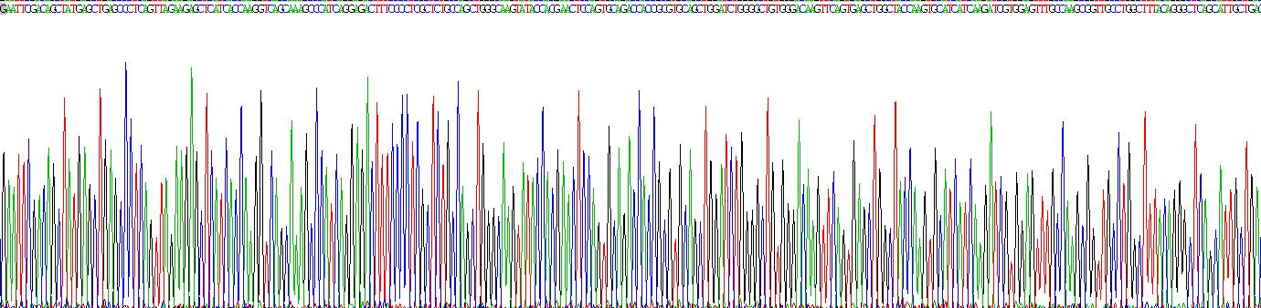 Gene Sequencing (extract)