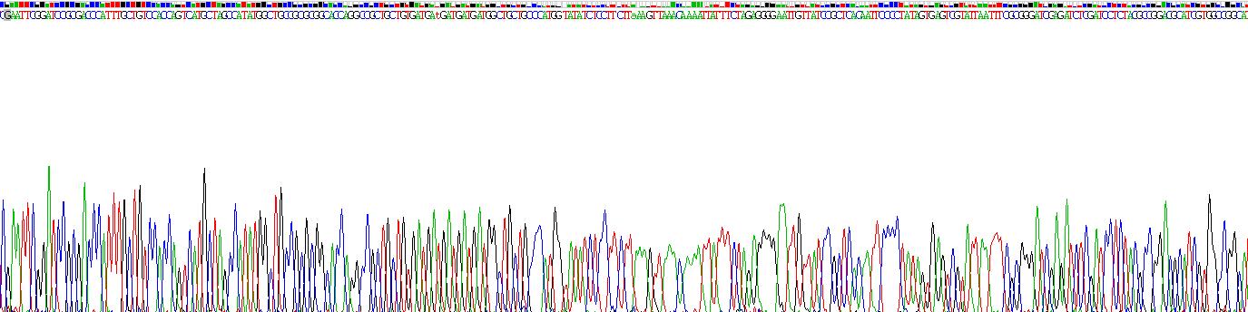 Gene Sequencing (extract)