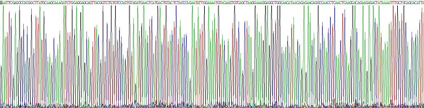 Gene Sequencing (extract)