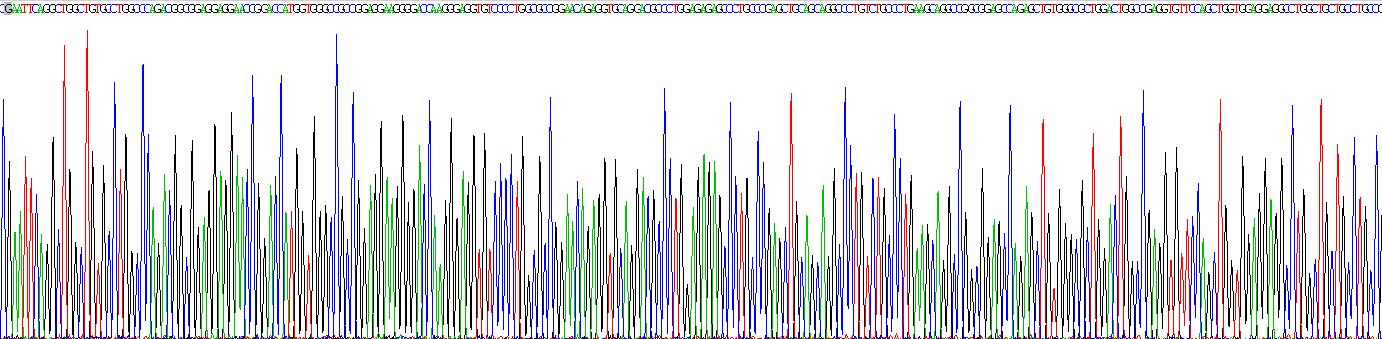 Gene Sequencing (extract)