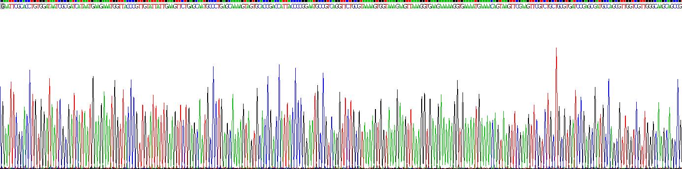 Gene Sequencing (extract)