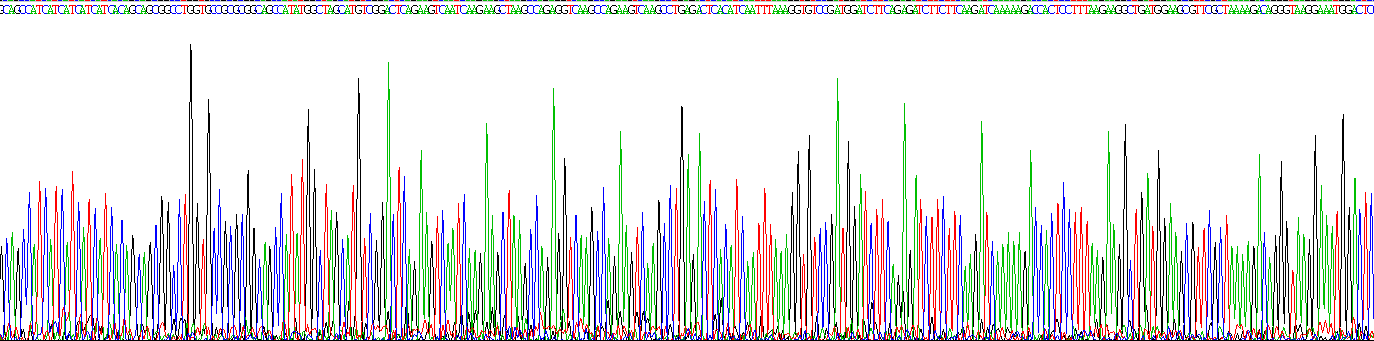 Gene Sequencing (extract)