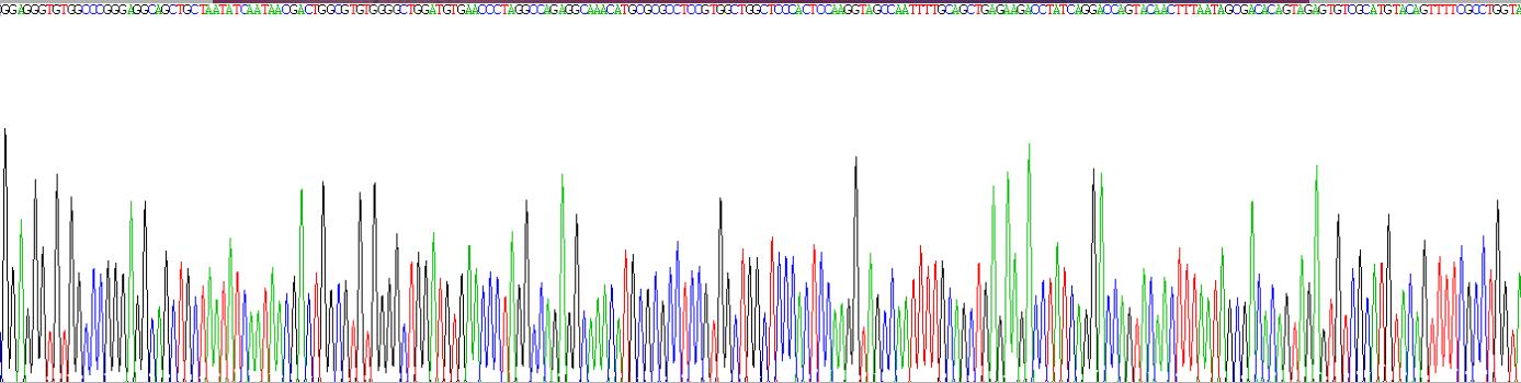 Gene Sequencing (extract)