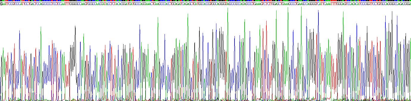 Gene Sequencing (extract)
