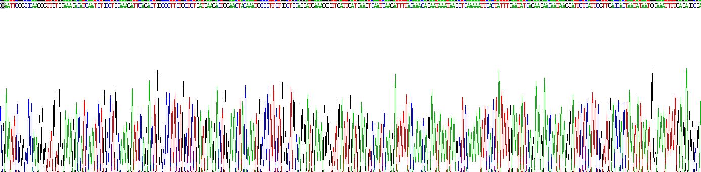 Gene Sequencing (extract)