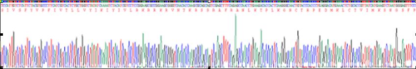 Gene Sequencing (extract)