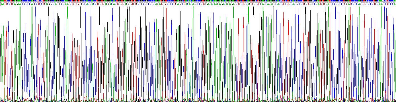 Gene Sequencing (extract)