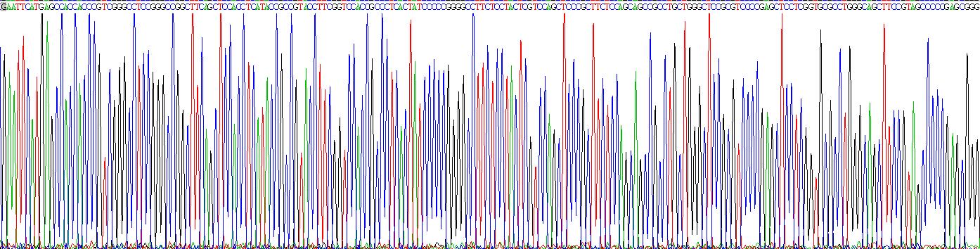 Gene Sequencing (extract)