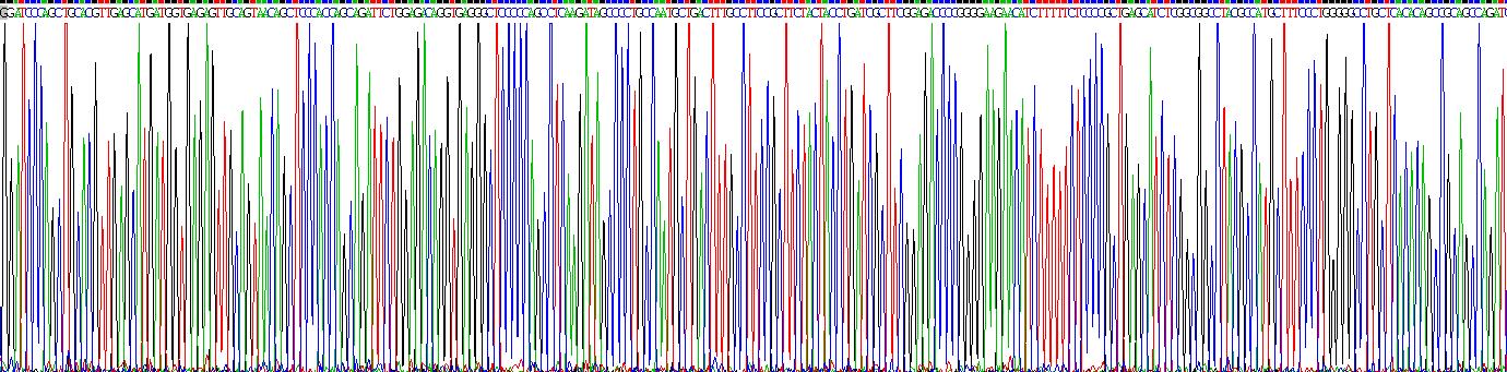 Gene Sequencing (extract)