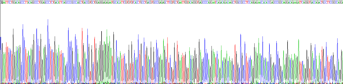 Gene Sequencing (extract)
