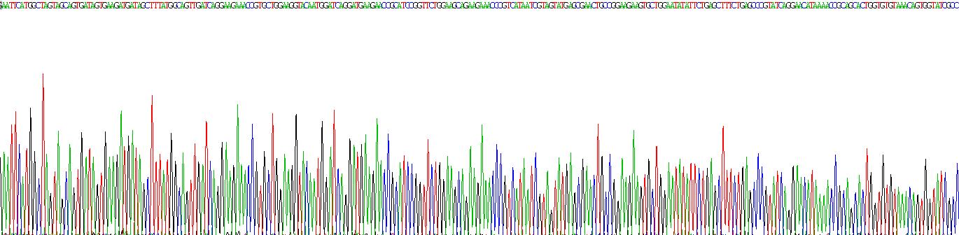 Gene Sequencing (extract)