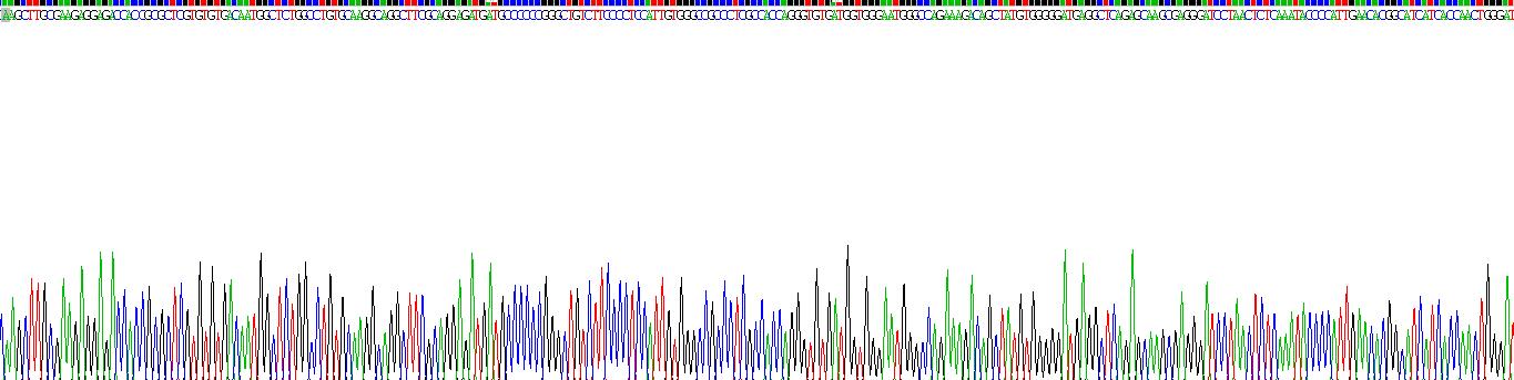 Gene Sequencing (extract)