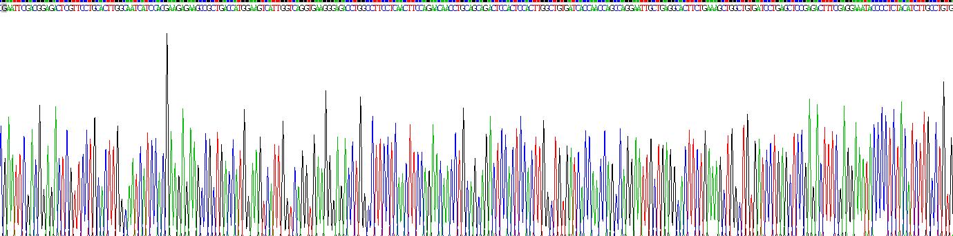 Gene Sequencing (extract)