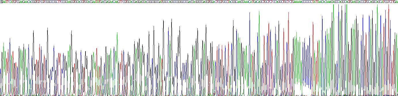 Gene Sequencing (extract)