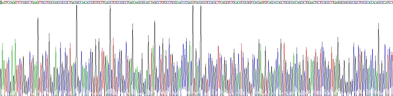 Gene Sequencing (extract)