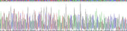 Gene Sequencing (extract)