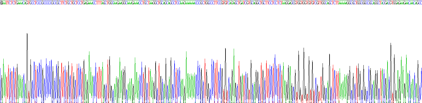 Gene Sequencing (extract)