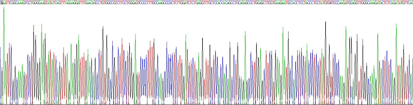 Gene Sequencing (extract)