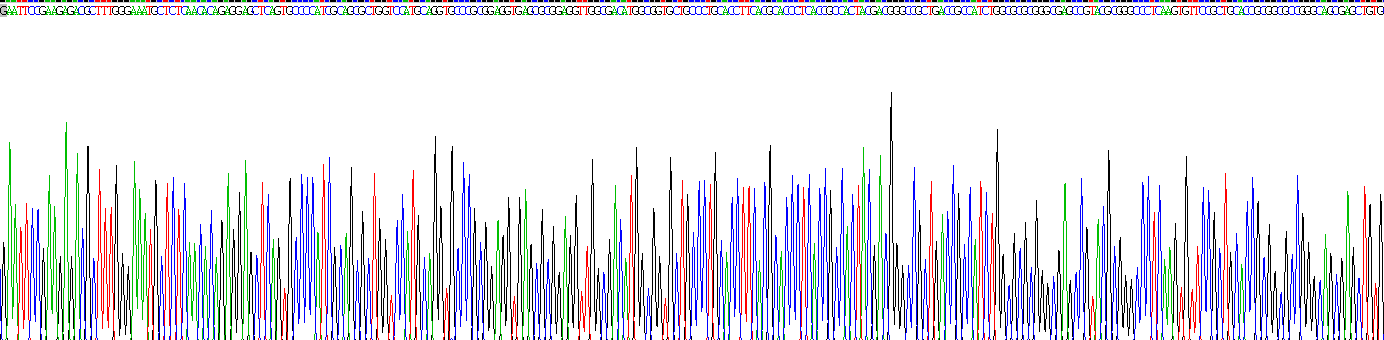 Gene Sequencing (extract)