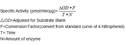 One unit of enzyme activity is defined as the 1μg of enzyme required to convert 1pmol of 4-Nitrophenyl acetate to 4-Nitrophenol in 1min at 37°C. The specific activity of recombinant mouse CES1 is 158 pmol/min/ug.