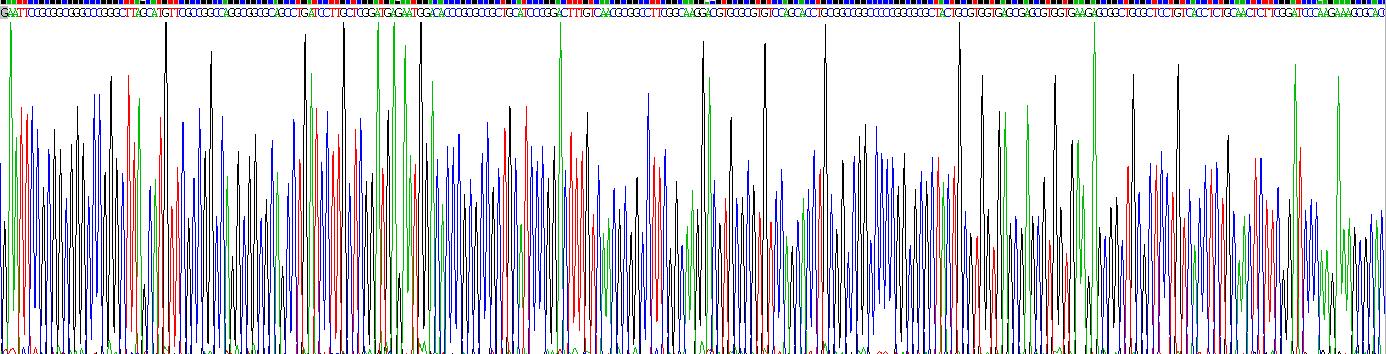 Gene Sequencing (extract)
