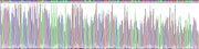 Gene Sequencing (extract)