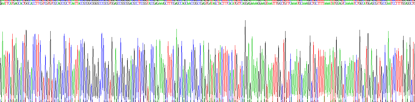 Gene Sequencing (extract)