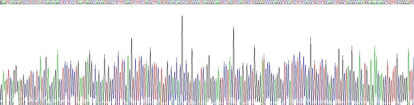 Gene Sequencing (extract)