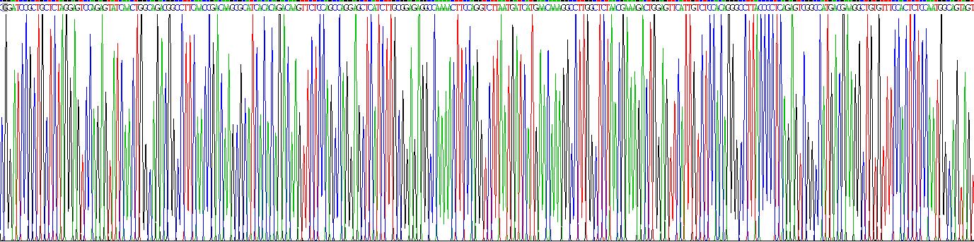 Gene Sequencing (extract)