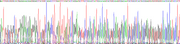 Gene Sequencing (extract)