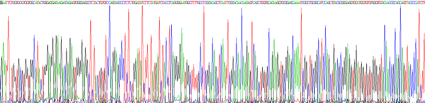 Gene Sequencing (extract)